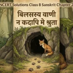 NCERT Solutions Class 8 Sanskrit Chapter 2
